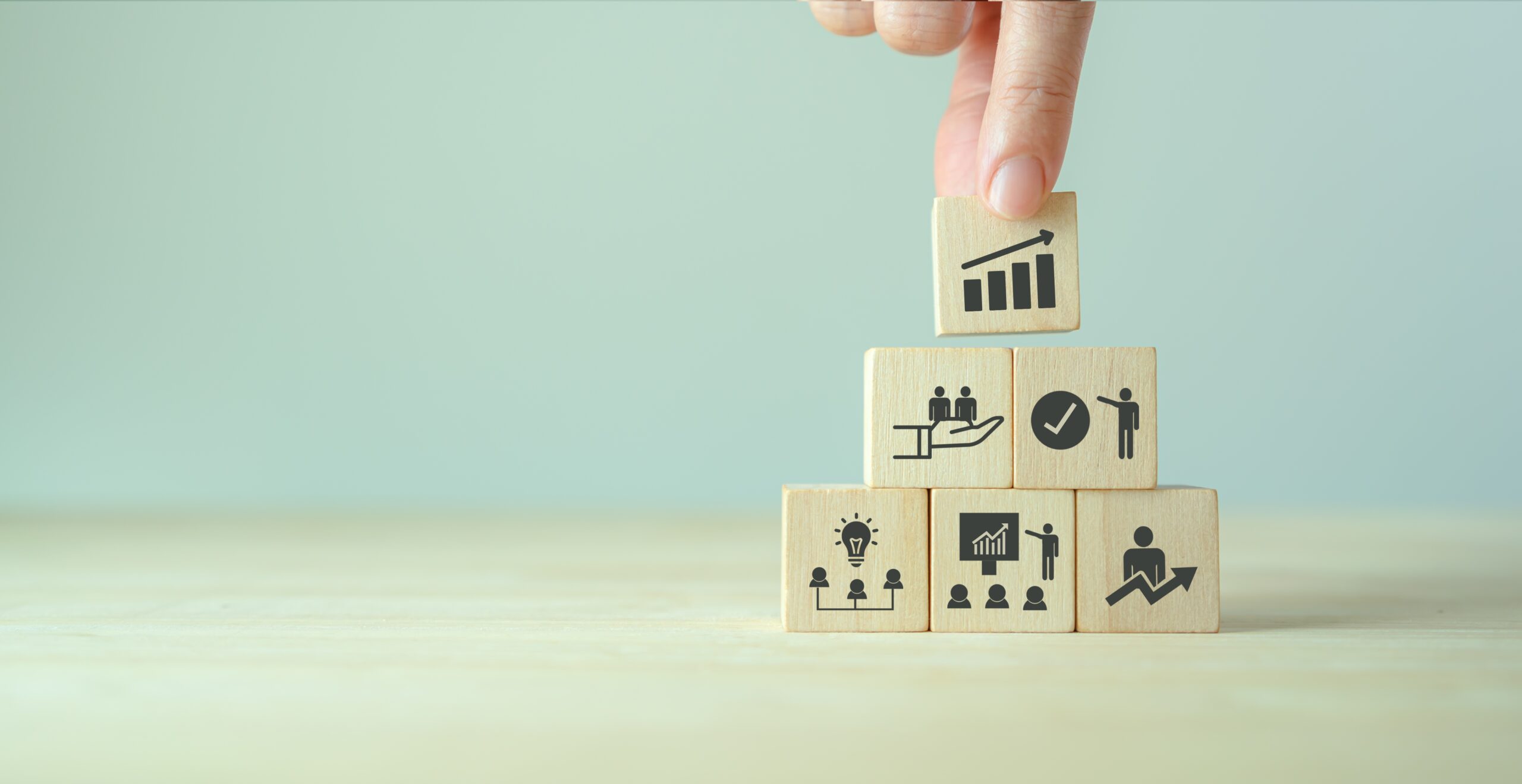 Business Development Career Path